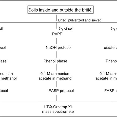 Image result for Protein Extraction Methods