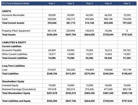 NEMT (Non Emergency Medical Transportation) Business Plan | BSBCON