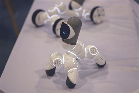 Click Bot Robot 的图像结果