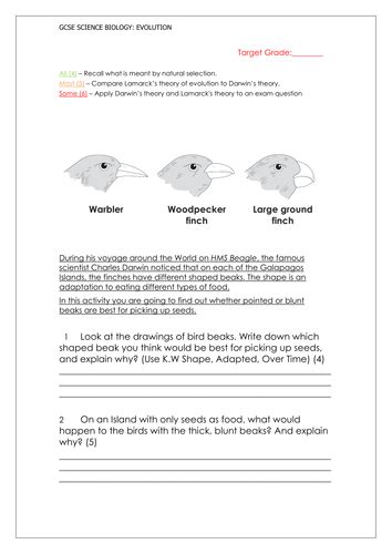 Image result for Freesciencelessons Evolution