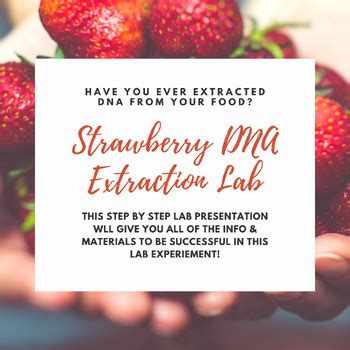 Extracting Strawberry DNA Lab 的图像结果
