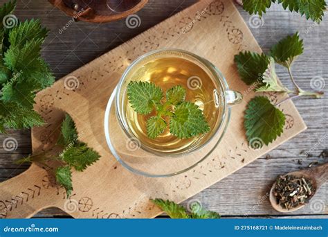 A Cup of Nettle Tea with Fresh Stinging Nettles Stock Image - Image of ...