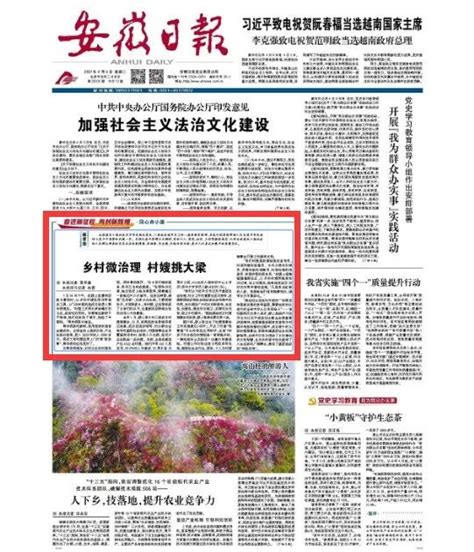 今天，安徽日报头版再次聚焦阜阳！_澎湃号·政务_澎湃新闻-The Paper