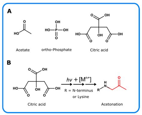 Photo-Oxidation of Therapeutic Protein Formulations: From Radical ...