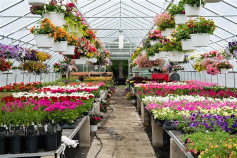 Cheshire Florist - Flower Delivery by Cheshire Nursery Garden Center and Florist