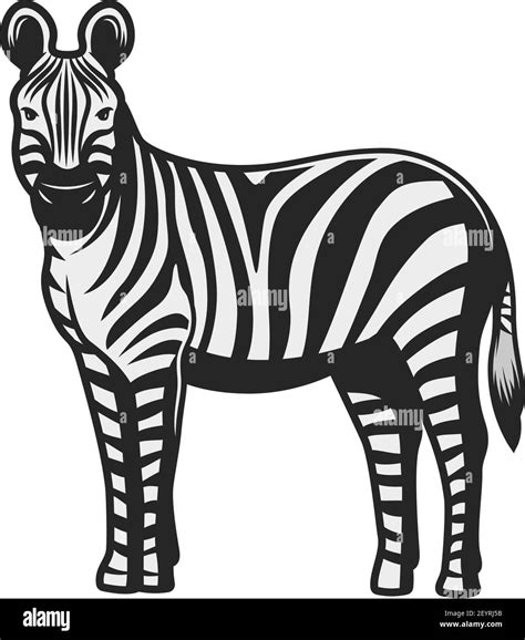 Safari Animals Black And White Clip Art