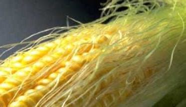 玉米须功效与作用,玉米须的副作用,玉米须是什么,玉米须图片_中华康网