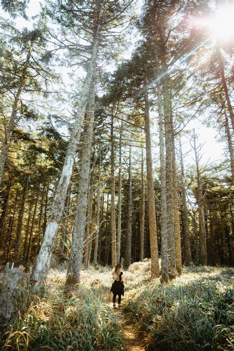 25 Incredible Oregon Coast Campgrounds To Book ASAP - The Mandagies