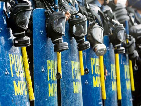 Thai crocodile farm - July 24, 2014 | The Economic Times