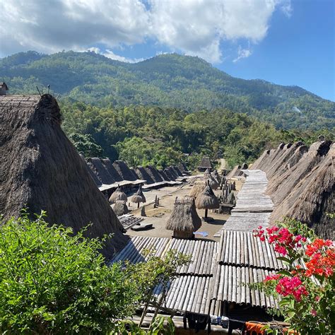 BENA TRADITIONAL VILLAGE (2026) All You Need to Know BEFORE You Go ...