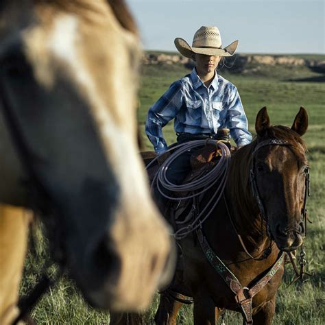 About Us - Ribbonwire Ranch