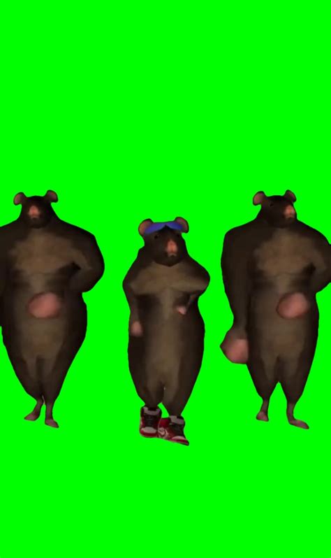 Image result for Rat Dancing Meme Tutorial