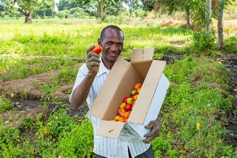 The Tanzanian Agriculture sector enabling environment for key value chains in 2022 - AECF
