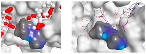 A New Drug Discovery Platform: Application to DNA Polymerase Eta and ...