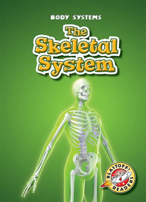 Buy The Skeletal System Online at desertcartINDIA