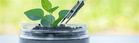 Nano Nest - Internship & Research Programs in Engineering and Science