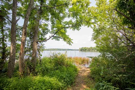 Beaver Dam Creek Here's Our Problem! 😧 || Beaver Dam Removal!
