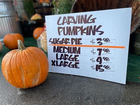 Inflation Affecting 2022 Pumpkin Prices In Beverly Hills | Beverly ...