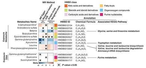 Causality Investigation between Gut Microbiota, Derived Metabolites ...