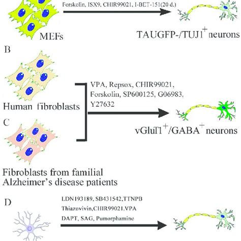 Image result for Chemical Reprogramming