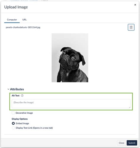 How to add alternative text (alt text) to images in Canvas - UC San ...