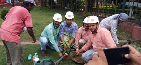 Plantation - Shyam Metalics