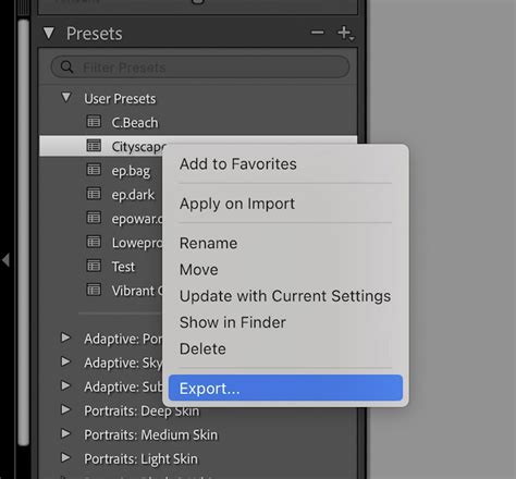 How to Save a Preset in Lightroom (Faster Workflow)
