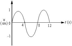 The x - t graph of a particle undergoing simple harmonic motion is ...