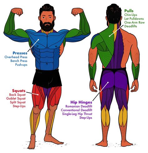 Image result for 2.rep Workout