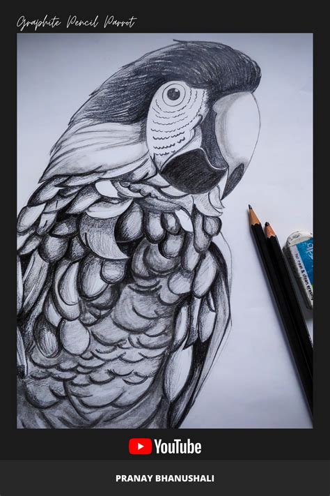Image result for Bird Drawing Shading