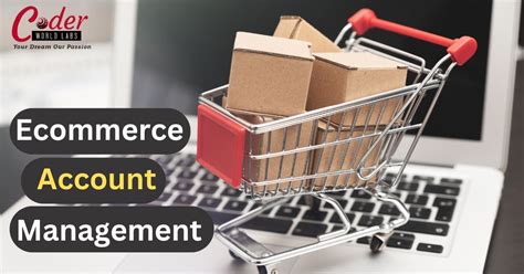 Strategies for E-Commerce Account Management Services in Delhi NCR