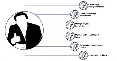 Project Integration Manager 的图像结果