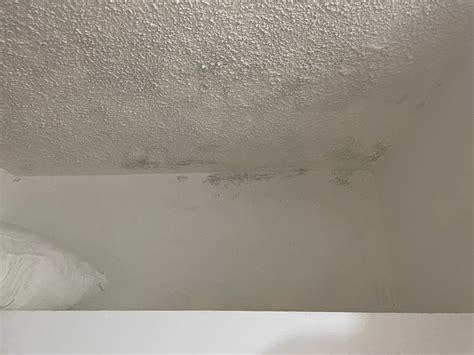 HOTEL & BEACH CLUB OJO DE AGUA (Riviera Maya/Puerto Morelos, Mexico ...