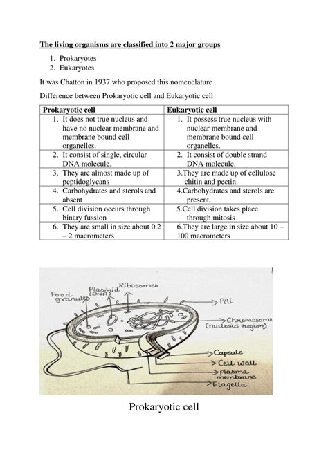 Image result for Structural Unit