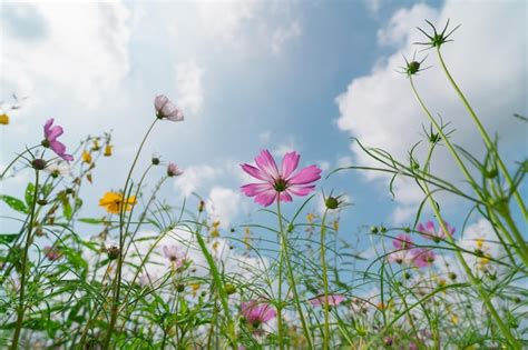Image result for Themes for SQL Syntax