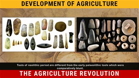 Neolithic Revolution Technology 的图像结果