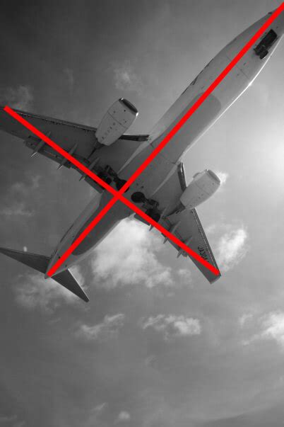 Image result for Diagonal Composition InDesign