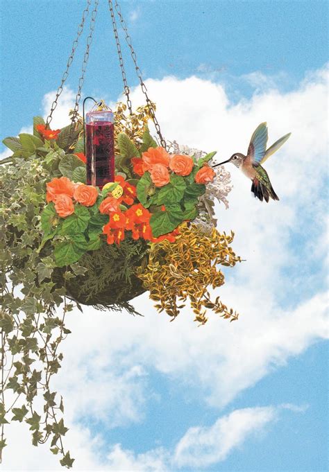 Best hummingbird feeder with bee guard - voseryX