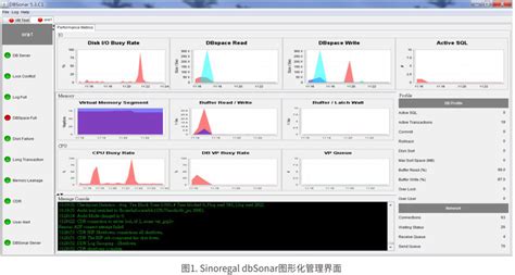 星瑞格数据库性能监控优化分析软件 —— Sinoregal dbSonar - 星瑞格数据库-国产数据库-数据库与数据库安全软件与服务提供商