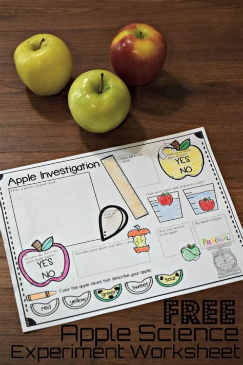 Image result for First Grade Science Experiments
