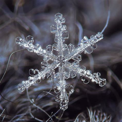 World Largest Snowflake, world record at Fort Keogh, Montana