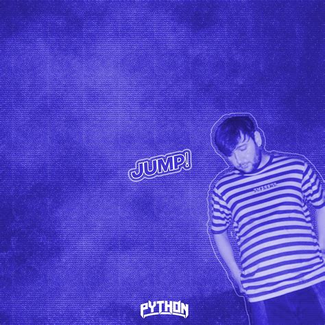 Jump to Function Python 的图像结果