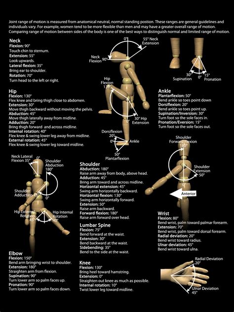 Joint Range of Motion degree chart - Real Bodywork