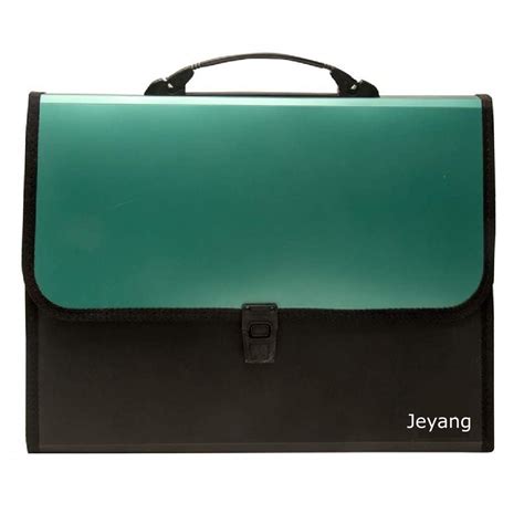 JEYANG Portable 13 A4 Legal Document Organizer - Expanding Accordion ...