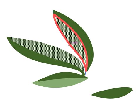 Image result for Adobe Illustrator Video-Tutorials Live Paint Selection Tool