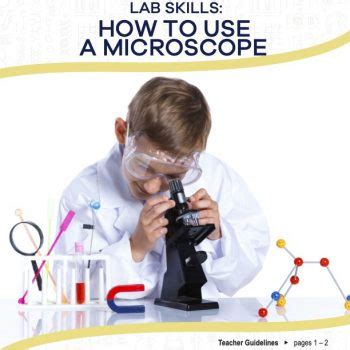 Basic Microscope Use 的图像结果