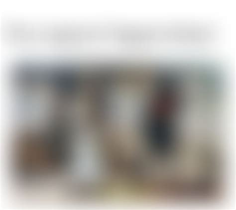 Image result for Monthy Python Fish