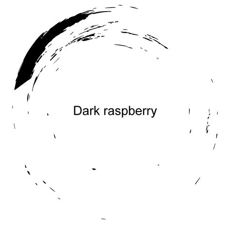 Image result for Dark Raspberry Color