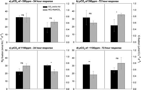 N2 fixation and primary productivity at different time points during an ...