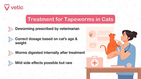 Tapeworms In Catscauses Symptoms Treatment Cat World Taenia Tapeworms